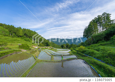 【徳島】上勝町の景観 116075005