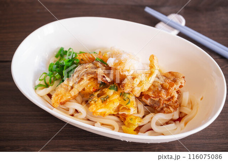 夏の定番 ぶっかけうどん 夏の定番 ぶっかけうどん 116075086