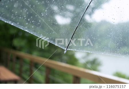 雨の日のビニール傘。雨、梅雨、雨の日など 116075157