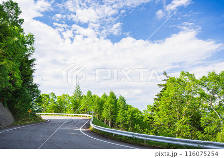 美ヶ原高原ドライブ 県道464号線 美ヶ原高原ドライブ 県道464号線 116075254