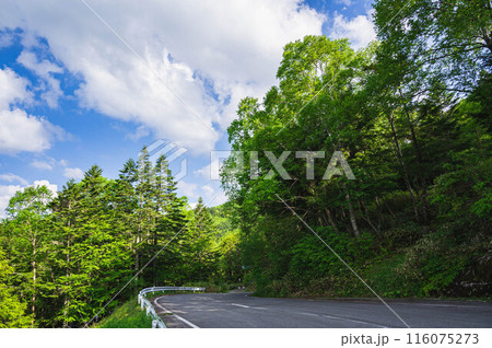 美ヶ原高原ドライブ　県道464号線 116075273
