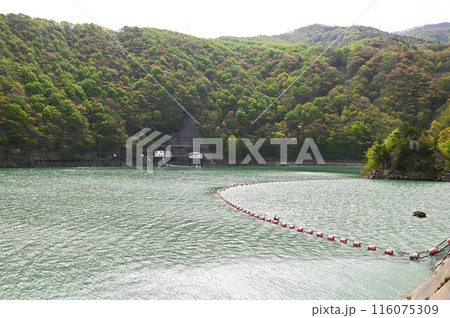 満水の錦秋湖 満水の錦秋湖 116075309