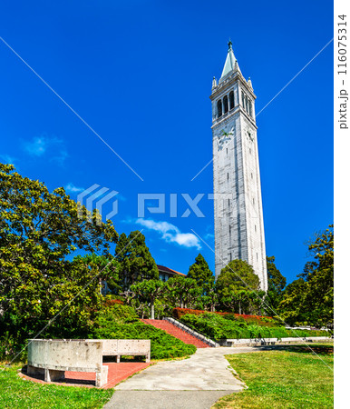 The Campanile tower at University of California, Berkeley in San Francisco Bay Area, United States The Campanile tower at University of California, Berkeley in San Francisco Bay Area, United States 116075314