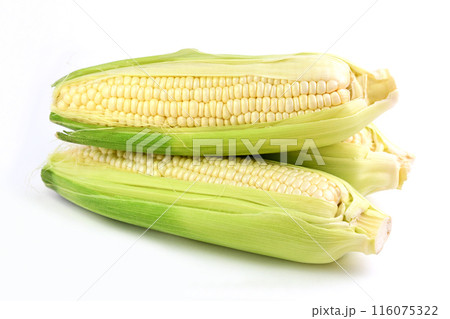 とうもろこし(しろい恵味) とうもろこし(しろい恵味) 116075322