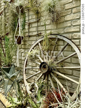 おしゃれなアンティークガーデン 116075505