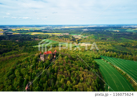 Nature landscape with Grodziec Castle surrounded by blooming agricultural fields and green forest, aerial view. Old historical fortress. Famous touristic place in Lower Silesia, Poland Nature landscape with Grodziec Castle surrounded by blooming agricultural fields and green forest, aerial view. Old historical fortress. Famous touristic place in Lower Silesia, Poland 116075624