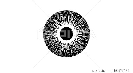 Iris medical poster 116075776