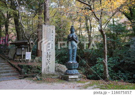 龍蔵寺 秋　 116075857