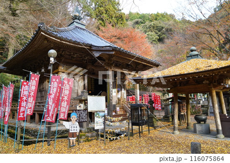 龍蔵寺 秋 龍蔵寺 秋 116075864