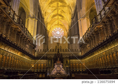 interiors of Seville cathedral, Seville, Andalusia, spain 116075894