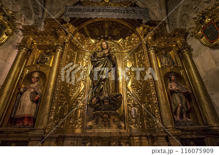 interiors of Seville cathedral, Seville, Andalusia, spain 116075909