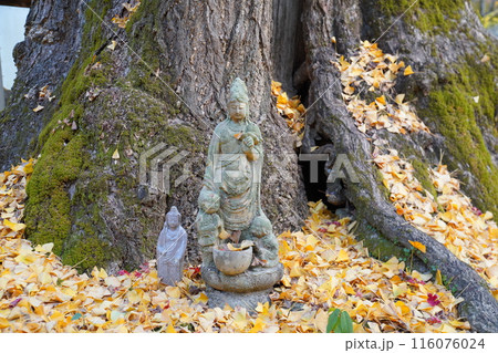 龍蔵寺 秋 公孫樹洞穴観音 龍蔵寺 秋 公孫樹洞穴観音 116076024