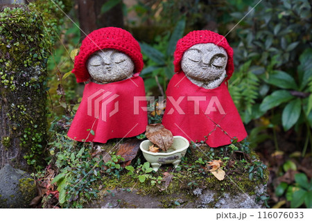 龍蔵寺 秋  龍蔵寺 秋  116076033