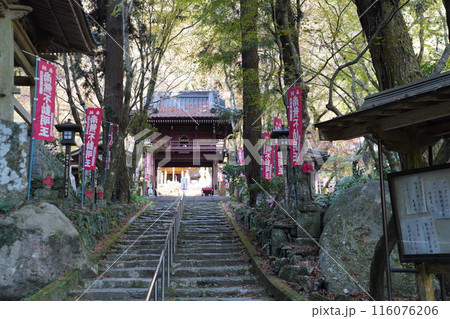 龍蔵寺 秋  龍蔵寺 秋  116076206