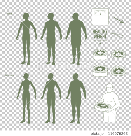 男女の体型のシルエットとおなかの断面図セット 男女の体型のシルエットとおなかの断面図セット 116076268
