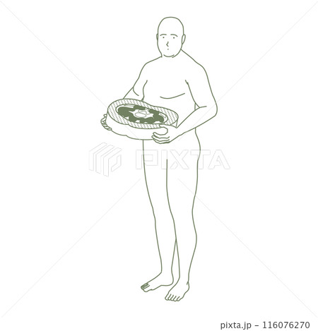 おなかの断面図と肥満体型の人物イラスト 116076270