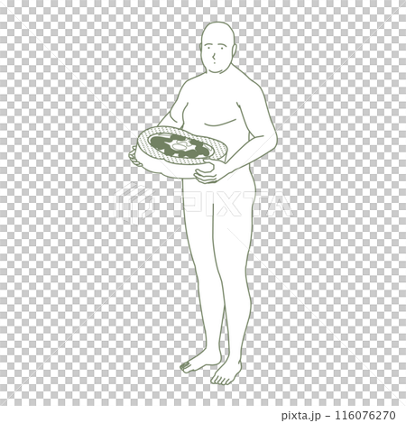 おなかの断面図と肥満体型の人物イラスト 116076270