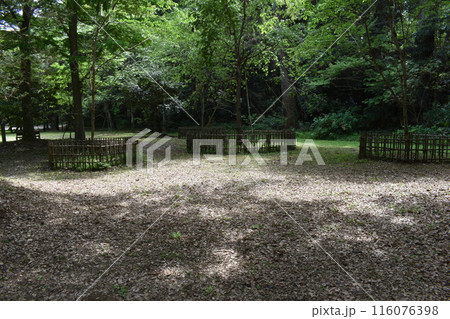 香取神宮、桜馬場、千葉県香取市 116076398