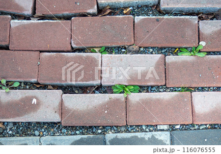 Broken paving stone. Broken pavement stones. Poor quality work.  The need for repair 116076555