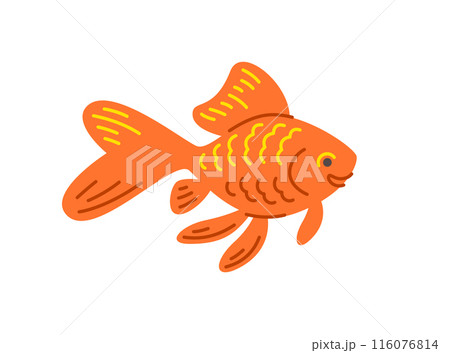 Goldfish pet doodle hand drawn character. Cute smiling aquarium fish in linear cartoon style. Editable stroke illustration 116076814