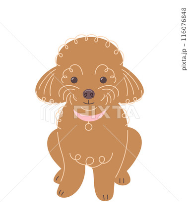 Cute smiling curly toy poodle puppy. Doodle hand drawn character. Adorable pet animal in linear cartoon style. Editable stroke illustration 116076848