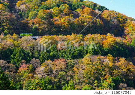 奥出雲の紅葉風景の中を走る木次線のラッピング列車たなだ　Ver1 116077043
