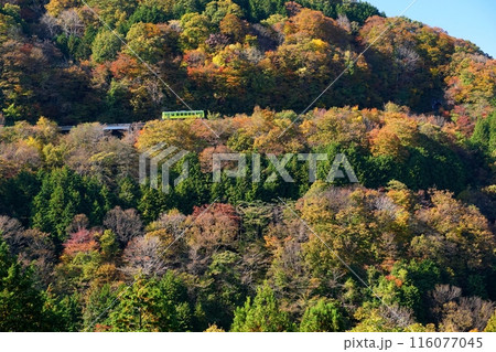 奥出雲の紅葉風景の中を走る木次線のラッピング列車たなだ　Ver2 116077045