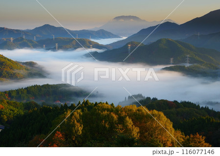 青空を背景に朝日に輝く紅葉と雲海流れる明地峠からの伯耆大山 Ver1 青空を背景に朝日に輝く紅葉と雲海流れる明地峠からの伯耆大山 Ver1 116077146