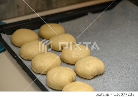 bun blanks on a baking sheet 6 bun blanks on a baking sheet 6 116077235