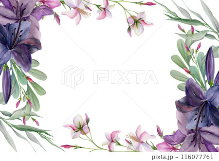 Hand drawn watercolor illustration botanical flowers leaves. Lily clivia amaryllis, pink lobelia jasmine, willow eucalyptus locust. Frame isolated on white background. Design wedding, love cards 116077761