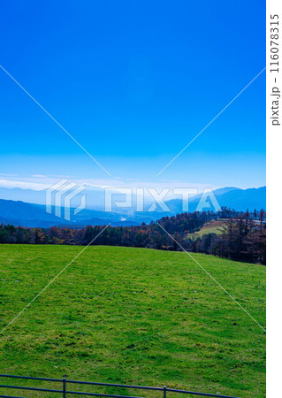 【富士山素材】山梨県立まきば公園から見た富士山と青空【山梨県】 116078315