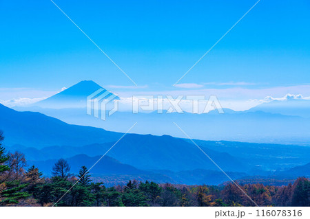 【富士山素材】山梨県立まきば公園から見た富士山と青空【山梨県】 【富士山素材】山梨県立まきば公園から見た富士山と青空【山梨県】 116078316