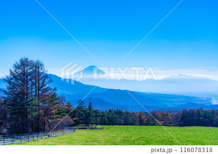 【富士山素材】山梨県立まきば公園から見た富士山と青空【山梨県】 116078318