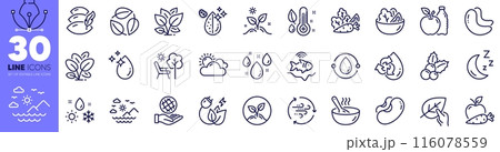 Christmas holly, Grow plant and Thermometer line icons pack. Vegetables, Safe planet, Apple web icon. Water drop, Leaf, Weather pictogram. Rainy weather, Startup, Sea mountains. Vector 116078559