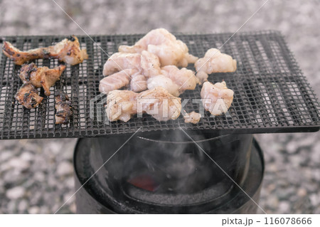 【オートキャンプ場でソロキャンプ 網で白モツを焼く】 【オートキャンプ場でソロキャンプ 網で白モツを焼く】 116078666