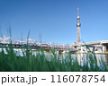 青空を走る東武伊勢崎線 特急「SPACIA X」　東京スカイツリーと隅田川の風景 116078754