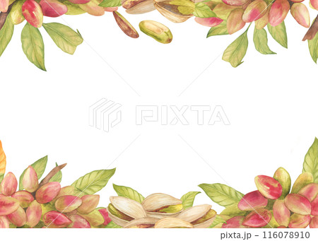 Rectangular frame or seamless border with pistachio tree fruits, pistachio nuts, leaves watercolor illustration. Botanical drawing sketch stylized. Hand drawn, suitable for food packaging design 116078910