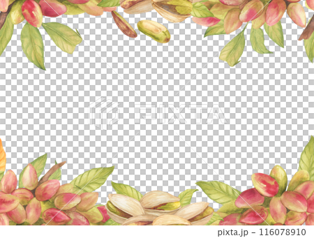 Rectangular frame or seamless border with pistachio tree fruits, pistachio nuts, leaves watercolor illustration. Botanical drawing sketch stylized. Hand drawn, suitable for food packaging design 116078910