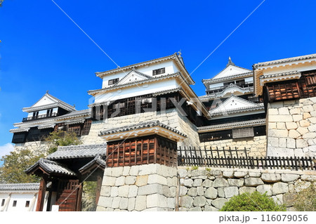 【愛媛県】松山城（現存12天守） 116079056