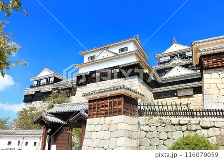 【愛媛県】松山城（現存12天守） 116079059