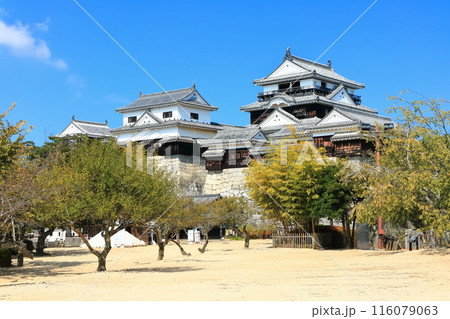 【愛媛県】松山城（現存12天守） 116079063
