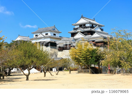 【愛媛県】松山城（現存12天守） 116079065