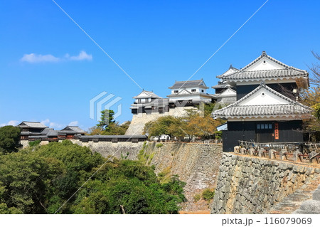 【愛媛県】松山城（現存12天守） 116079069