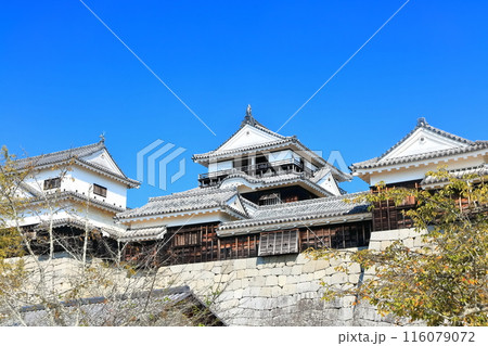 【愛媛県】松山城(現存12天守) 【愛媛県】松山城(現存12天守) 116079072
