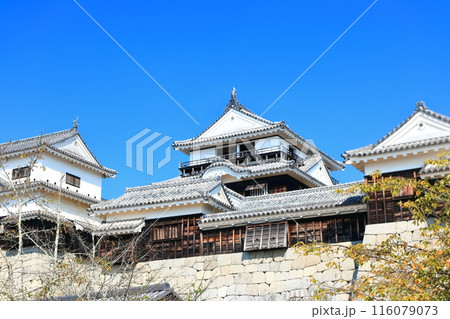 【愛媛県】松山城（現存12天守） 116079073