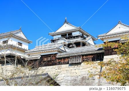【愛媛県】松山城（現存12天守） 116079075