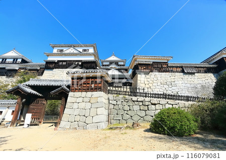 【愛媛県】松山城（現存12天守） 116079081