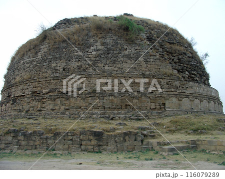 パキスタンの古代都市タキシラの近郊にあるマニキヤラ仏塔は捨身飼虎の場とされる(2007年撮影) パキスタンの古代都市タキシラの近郊にあるマニキヤラ仏塔は捨身飼虎の場とされる(2007年撮影) 116079289