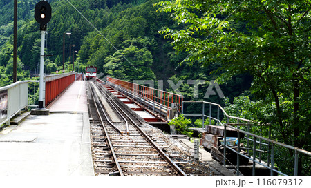 奥大井湖上駅を出発する列車 奥大井湖上駅を出発する列車 116079312
