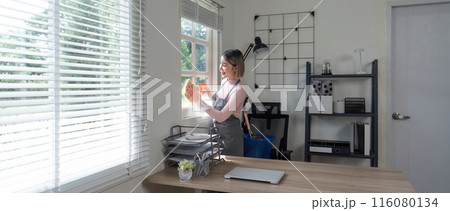 Housekeeper Cleaning Office Window with Cloth in Modern Home Office Setting with Natural Light Housekeeper Cleaning Office Window with Cloth in Modern Home Office Setting with Natural Light 116080134